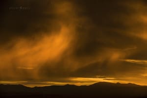 Arboretum sunset