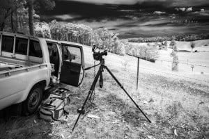 in the field | Gulaga / Mt Dromedary