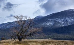 Tidbinbilla - light dusting